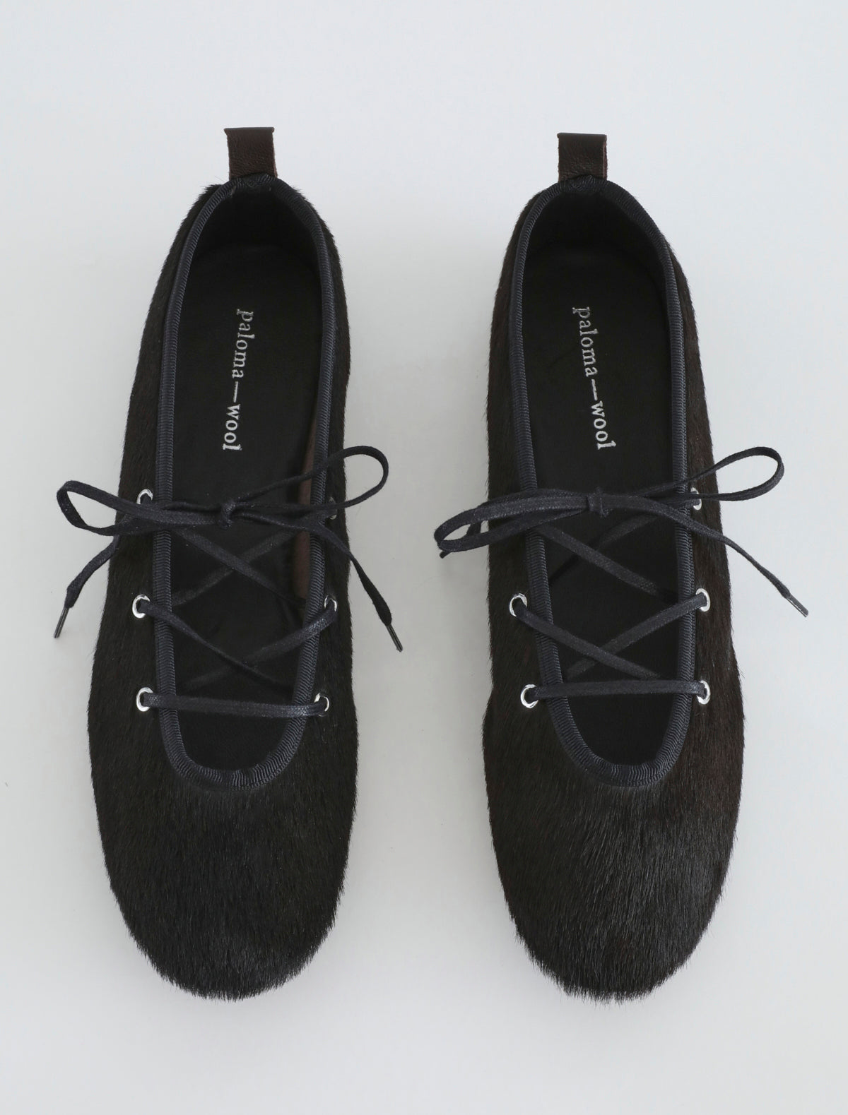 no 1906 / Pina